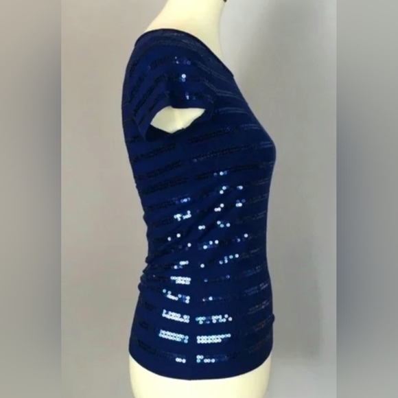 Ann Taylor Petites, Fitted, Blue Sequin, Scoop Neck Top, Size Med/Petite - Picture 7 of 7